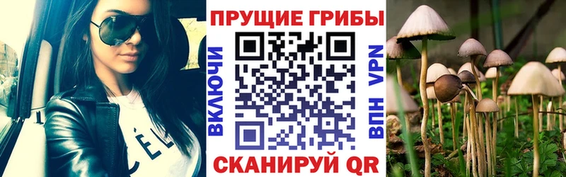 Галлюциногенные грибы прущие грибы  Купить где  Янаул 